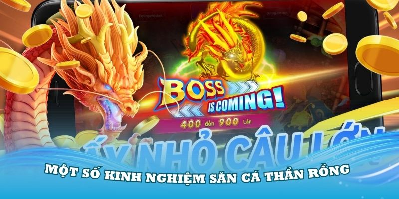 Một số kinh nghiệm khi săn cá Thần Rồng