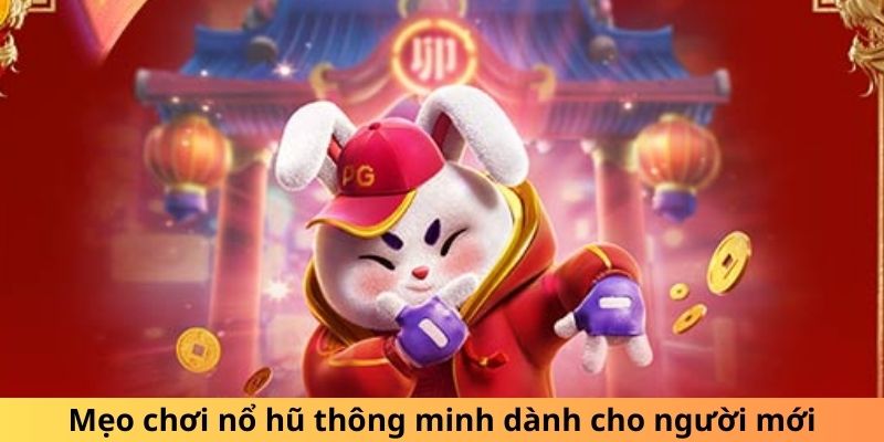 Mẹo chơi nổ hũ thông minh dành cho người mới